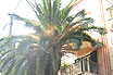Properties In Corfu Ionian Islands